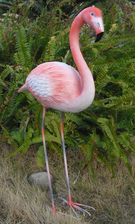 Pink flamingo garden statue Flamingo Pictures, Flamingo Themed Party, Flamingo Garden, Cement Art, Flamingo Decor, Backyard Pool Landscaping, Paving Slabs, Flamingo Christmas, Flamingo Art