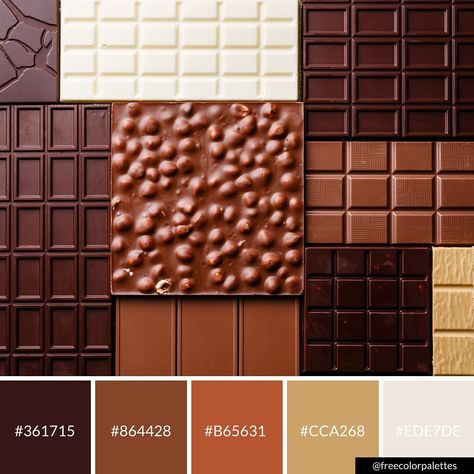 Chocolate | Browns | Warm Fall Colors | Color Palette Inspiration. | Digital Art Palette And Brand Color Palette. National Chocolate Day, Color Out Of Space, Chocolate House, Fall Palette, Dairy Milk Chocolate, Milk Color, Art Palette, Chocolate Day, Color Palette Inspiration