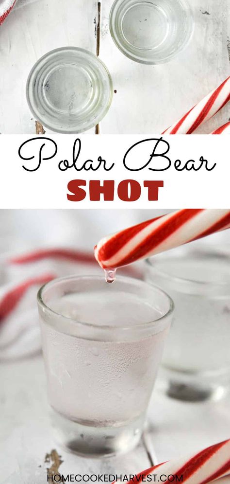 Winter Shot Recipes, Peppermint Jello Shots, Easy Christmas Shots Recipes, Winter Shots Alcohol, Christmas Alcholic Drink Ideas, Make Ahead Shots For A Crowd, Christmas Themed Shots, Easy Christmas Shots, Holiday Shots Alcohol