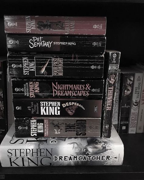 Books Aesthetic Vintage, Stephen King Books, My King, King Book, Season Of The Witch, Only Child, Dark Academia Aesthetic, Yandere Simulator, Intj