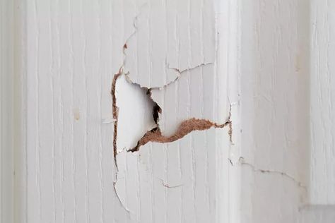 Fix Interior Door, How To Patch A Hole In A Hollow Door, Fixing Hole In Door, Fix Hollow Core Door, Hole In Door Repair, How To Fix Hole In Door, Fix Hole In Hollow Core Door, How To Fix A Hole In A Door, Door Hole Cover Up