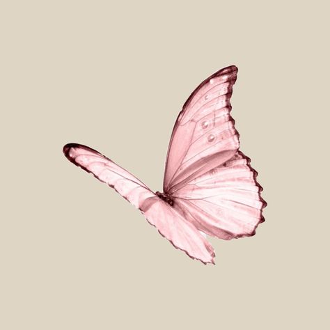 Butterfly App Icon, App Icon Design Pink, Icon Design Pink, Pink Bg, Art Room Posters, Butterfly Png, Concept Art Tutorial, Icons App, Baby Pink Aesthetic