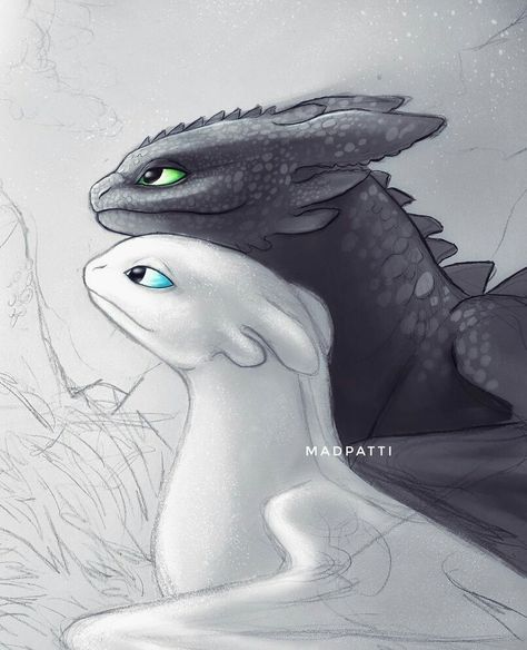 Night and Light Train Dragon, Cute Disney Drawings, Dragon Sketch, Dragon Trainer, Dragon Pictures, Sketches Simple, Cute Dragons, Dragon Drawing, Sketches Easy