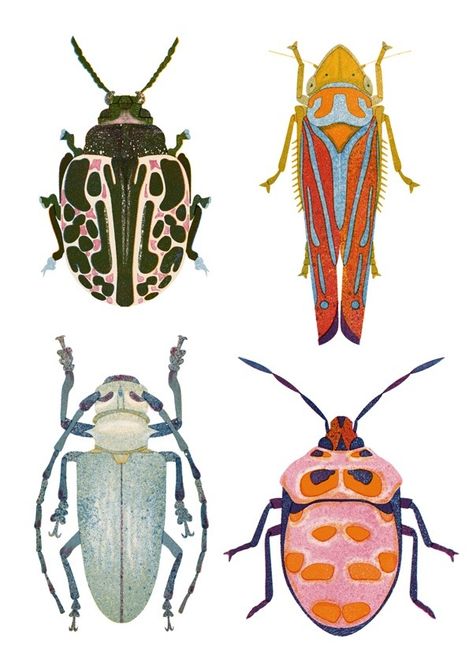 I’m working on lots of stuff that I just can’t show yet, so here are some more bugs for you ♥️ this one is also available in my... Trust Your Intuition, Bug Art, Beautiful Bugs, Insect Art, Bugs And Insects, Beetles, Animal Illustration, Mini Art, Linocut