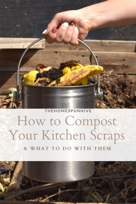 How to Start Composting- Kitchen Scraps Sustainable Minimalism, Potted Plant Landscaping, How To Start Composting, Composting Food Scraps, Start Composting, How To Compost, Compost Bucket, Kitchen Compost Bin, Growing Organic Vegetables