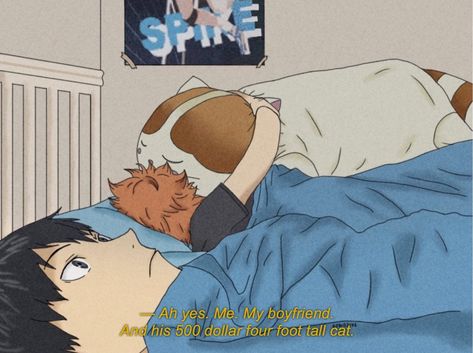 Meian Shugo Haikyuu, Kagehina Aesthetic, Funny Haikyuu, Haikyuu Dj, Cat Plushie, Kageyama X Hinata, Haruichi Furudate, Anime Haikyuu, Geeky Girls