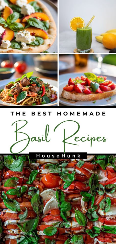 Basil is not just for pesto. It's a versatile herb that can add flavor and freshness to any dish. In this post, you'll find 22 recipes that use basil in creative and delicious ways. Whether you're looking for a cozy soup, a cheesy pasta, a crispy pizza, or a creamy ice cream, you'll find it here. Plus, these recipes are easy and fun to make. Don't miss these amazing basil recipes! Recipes Using Basil, Using Basil, Fresh Basil Recipes, Creamy Ice Cream, Avocado Pasta Salad, Cozy Soup, Crispy Pizza, Tomato Basil Pasta, Basil Recipes