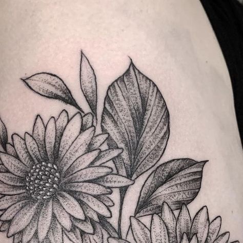 Kaysee Shuster on Instagram: "Asters for my friend @brenda_leighh today!! Thanks for coming to me girl 💞💞 @sacredarttattooct . . . . . #astertattoo #asterflowers #aster #floraltattoo #flowertattoo #ctink #cttattooers #cttattoo #ctartists #sacredarttattooct #botanicaltattoo #biceptattoo #birthflowertattoo #blackworkers #blackwork #blkttt #ttt" New England Aster Tattoo, Aster Flower Tattoo, Aster Tattoo, Aster Flower Tattoos, Aster Flower, Bicep Tattoo, Birth Flower Tattoos, Botanical Tattoo, Thanks For Coming