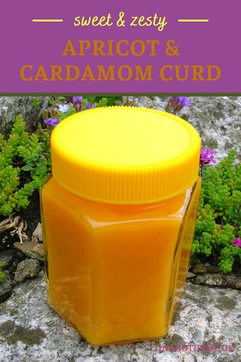 Apricot Curd, British Summertime, Fruit Curd, Apricot Recipes, Spicy Dip, Homemade Food Gifts, Cakes And Desserts, Sweet Dips, Curd Recipe