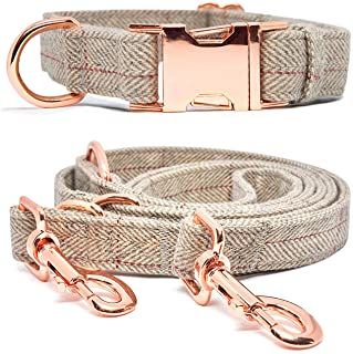 Amazon.com: dog collar Girl Dog Accessories, Gold Dog Collar, Female Dog Collars, Dog Accesories, Dog Collar And Leash, Luxury Dog Collars, Cute Dog Collars, Dog Items, Dog Gear