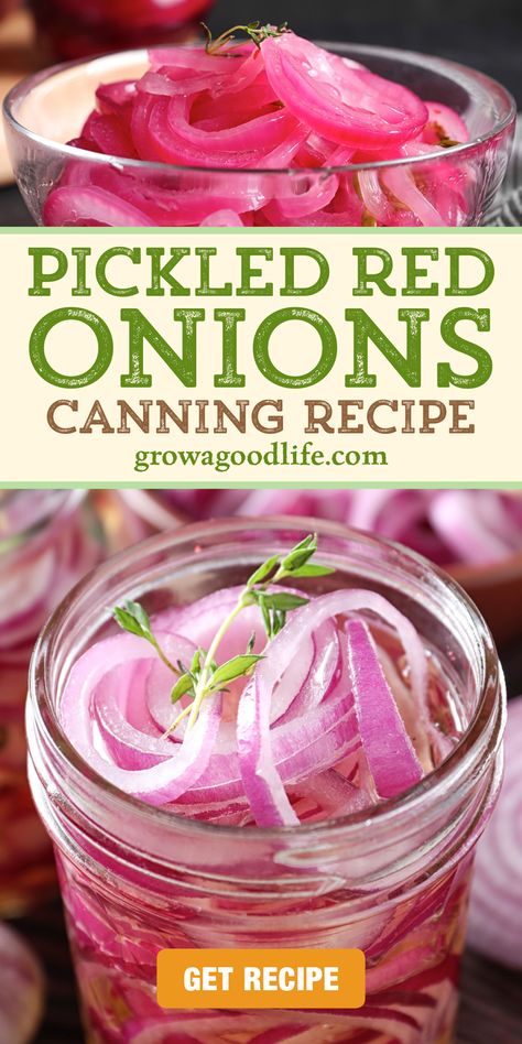 Best Pickled Red Onion Recipe, Pickeled Red Onions, Pickled Red Onion Recipe, Spicy Pickled Onions, Picked Red Onions, Pickled Red Onions Recipe, Pickle Onions Recipe, Red Onion Recipes, Quick Pickled Red Onions