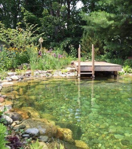 Natural Swimming Pools: Organic Habitat | Garden Culture Magazine Diy Swimming Pond, Swimming Pool Prices, Swimming Pool Pond, Pool Prices, Habitat Garden, Natural Swimming Ponds, Swimming Pond, Natural Pond, Pond Landscaping