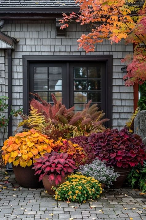 Autumn Pots Outdoor, Fall Front Porch Flowers, Fall Plants For Porch, Autumn Planter Ideas, Fall Flower Beds In Front Of House, Fall Outdoor Planter Ideas, Autumn Garden Ideas, Container Farming, Fall Planter Ideas