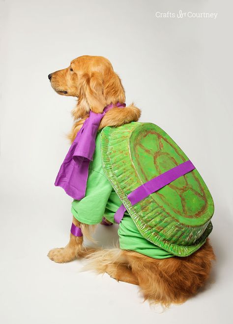 Fun Teenage Mutant Ninja Turtle Dog Costume Diy Ninja, Turtle Costume, Ninja Turtle Costume, Turtle Costumes, Puppy Costume, Diy Dog Costumes, Fun Halloween Crafts, Costumes Diy, Pet Halloween Costumes