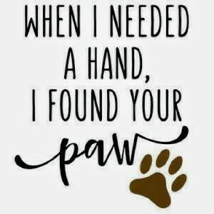 "WHEN I NEEDED A HAND, I FOUND YOUR PAW!" Dogs Quotes, Dog Sayings, Airedale Terrier, Dog Tattoo, Cat Quotes, Memes Humor, Animal Quotes, Dog Quotes, Amazing Quotes