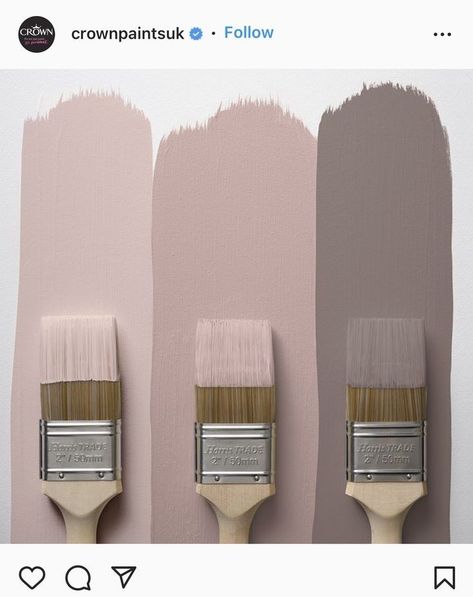 Light Pink Sherwin Williams Paint, Interior Paint Colors For Living Room, Grey Wall Color, Home Paint Color, Wall Color Combination, House Paint Interior, Paint Color Schemes, Bedroom Wall Paint, Sherwin Williams Paint Colors