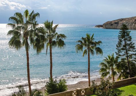 Pissouri bay beach palm. Pissouri bay beach in Cyprus #Sponsored , #ADVERTISEMENT, #Sponsored, #bay, #palm, #beach, #Pissouri Cyprus, Stock Photos, Natural Landmarks, Water, Travel