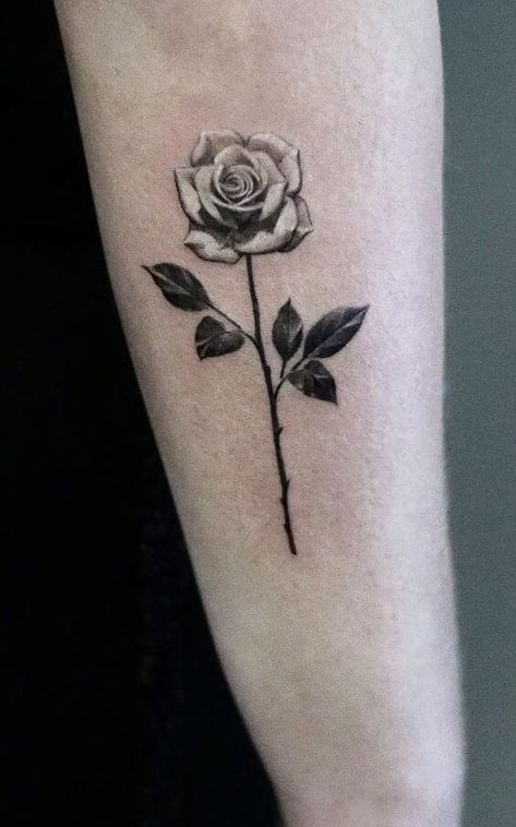 20+ Birth Flowers For June Tattoo Design Ideas For Females – EntertainmentMesh June Birth Flower Tattoo, White Rose Tattoo, Black And White Rose Tattoo, Money Rose Tattoo, Geometric Rose Tattoo, Rose Tattoo Stencil, Yellow Rose Tattoos, Rose Tattoo Forearm, White Rose Tattoos