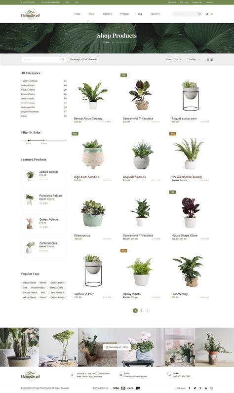 Plant Website Design, Plant Website, Free Business Logo, Ecommerce Website Template, Business Fonts, Drinks Packaging Design, Mobile Web Design, Plant Catalogs, Business Website Design