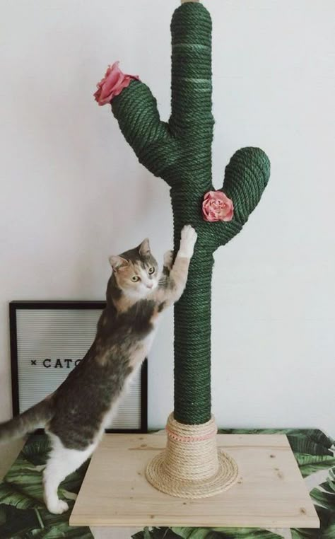 i love kittens Katt Diy, Diy Cat Tower, Cat Tree Designs, Katt Grejer, Kat Diy, Chat Diy, Cactus Cat, Cat Climbing, Cat Scratching Post