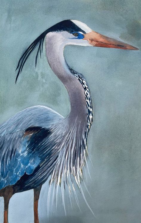 Heron Watercolor, Heron Bird, Heron Art, Coastal Birds, Bird Paintings, Paintings Watercolor, Great Blue Heron, Watercolor Artists, Art Instructions