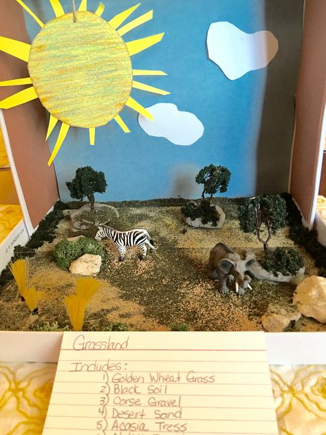 Biome Grassland project 4th grade.                                                                                                                                                                                 More Grassland Project, Ecosystems Diorama, Giraffe Habitat, Habitat Diorama, Savanna Biome, Grassland Biome, Biomes Project, Diorama Kids, Ecosystems Projects