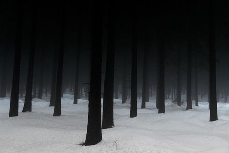 Livvy Dunne, Thai Font, Winter Aesthetic, Dark Forest, Nature Aesthetic, Inspiration Board, Fantasy Landscape, In The Woods, Dark Aesthetic