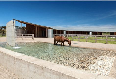 Pets Room, Feed Room, Dream Ranch, Horse Paddock, Dream Stables, Dream Horse Barns, Rammed Earth Wall, Equestrian Facilities, Rural House