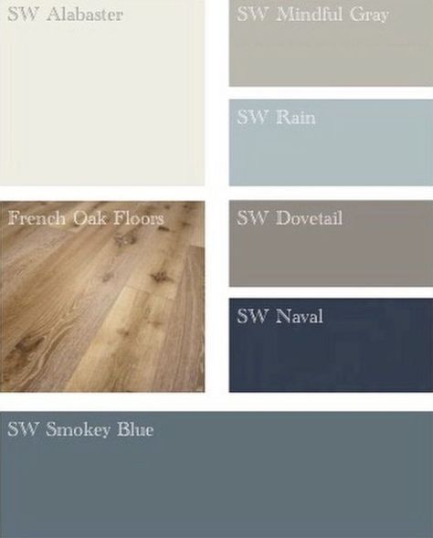 Light Floor Color Scheme, Exterior Cottage Color Schemes, Floral Wall Papering Ideas For Bathroom, Blue Home Color Scheme, Grey Wall Color Scheme, Basement Apartment Color Schemes, Color Scheme For Office Interiors, Wall Color Pallete, Grey Home Color Scheme