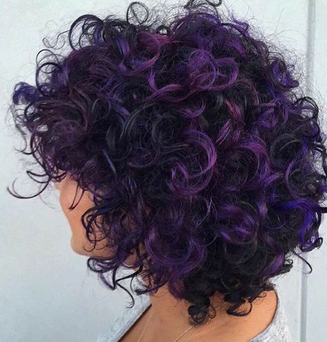 Short Curly Hair With Purple Highlights, Natural Curly Purple Hair, Short Curly Hair Purple Highlights, Purple Hair Curly Short, Purple Balayage Curly Hair, Red Purple Curly Hair, Curly Violet Hair, Curly Purple Highlights, Short Purple Curly Hair