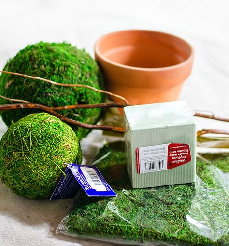 Moss Topiary, Moss Projects, Faux Topiary, Topiary Diy, Moss Ball, Faux Moss, Diy Trellis, Craft Board, Boxwood Topiary