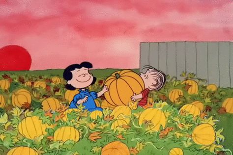 Peanuts halloween charlie brown great pumpkin its the great pumpkin charlie brown Peanuts Thanksgiving, Charlie Brown Wallpaper, It's The Great Pumpkin Charlie Brown, Peanuts Wallpaper, Peter Pumpkin, Charlie Brown Thanksgiving, Great Pumpkin Charlie Brown, Pumpkin Eater, Charlie Brown Halloween