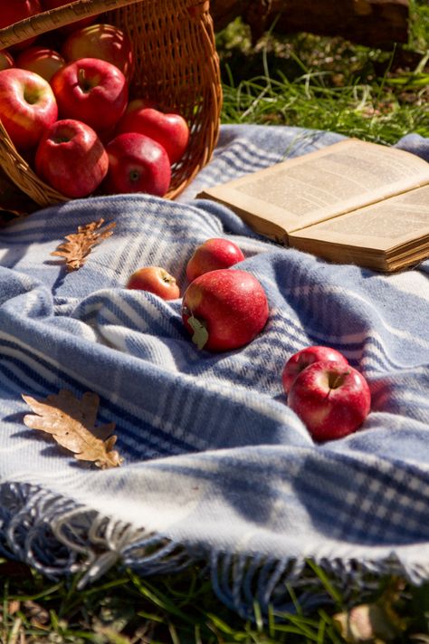 Orchard Photoshoot Family, Apple Farm Photoshoot, Apples Photoshoot, Apple Orchard Picnic, Apple Farm Aesthetic, Apple Orchard Aesthetic, Apple Photoshoot, Fall Apples Aesthetic, Fall Picnic Photoshoot