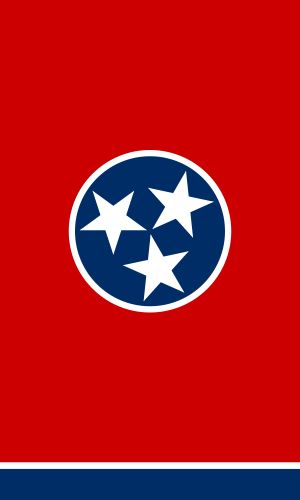 Tennessee flag template for use to make sheet cake Tennessee Wallpaper, Tennessee Tattoo, Tennessee Tristar, Rocky Top Tennessee, Tennessee Flag, Flag Template, Hawaii Pictures, Us Flags, Flag Tattoo