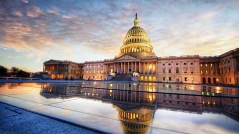 U.S. Capitol Sunrise U.S. Capitol Sunrise #HD #4K #wallpaper #hdwallpaper #desktop Corporate Office Space, Red District, Facts Images, Photography Phone, Get Published, United States Capitol, The Butterfly Effect, Dog Insurance, Iconic Architecture