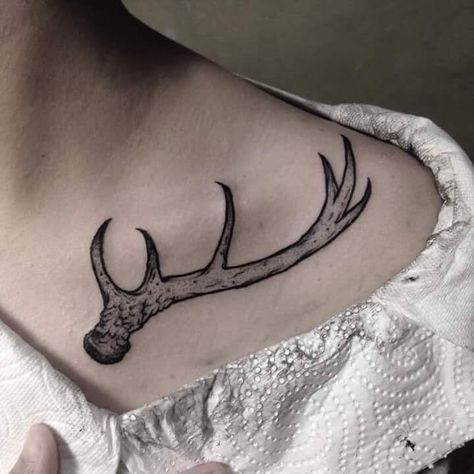 Doe antler tattoo Tattoo Ideas Female Outdoors, Antler Chest Tattoo Female, Deer Antler Chest Tattoo, Antler Shoulder Tattoo, Antlers Collarbone Tattoo, Antler Tattoo Chest, Collarbone Antler Tattoo, Antler Tattoo Collar Bone, Deer Tattoo Designs Sketches