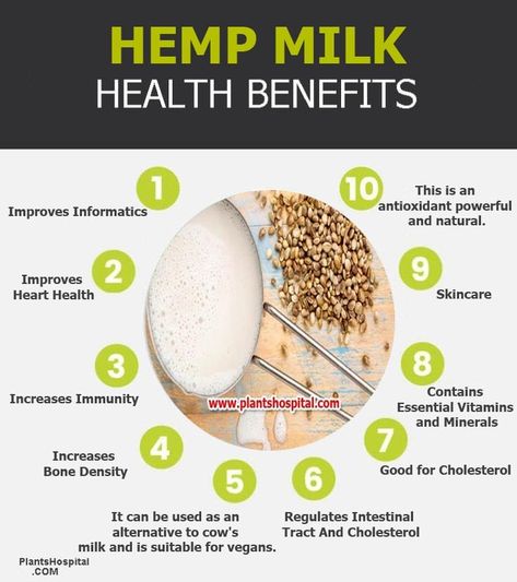 Hemp Milk Benefits, Hemp Hearts Recipes, Hemp Seed Benefits, Hemp Seed Milk, Hemp Oil Benefits, Herbal Drink, Milk Benefits, Olivia Bottega, Hemp Milk