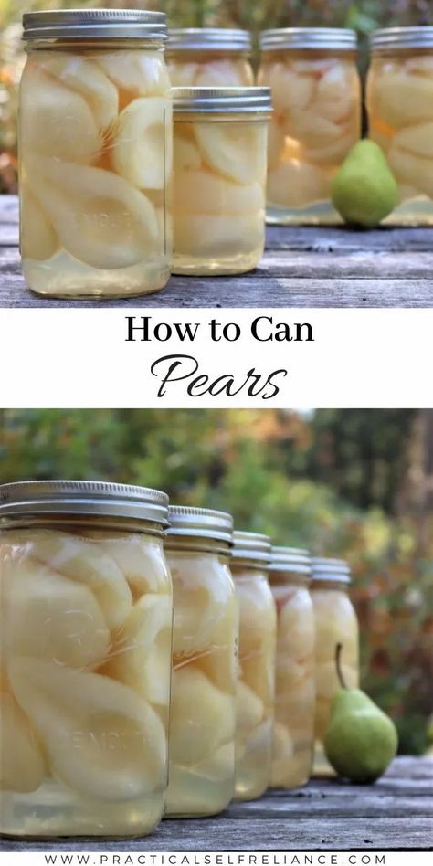 How To Can Pears In Light Syrup, Light Syrup For Canning Pears, Canning Pears In Honey Syrup, Canned Pears In Light Syrup, Canning Pears Raw Pack, Water Bath Canning Pears, Spiced Pears For Canning, What To Do With Pear Peels, Light Syrup For Canning Fruit