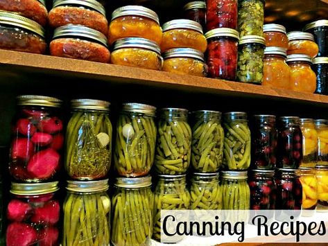 Preserving and Canning Equipment List - One Hundred Dollars a Month Pickles Eggs, Housewife Tips, Canning Equipment, Canning 101, Cooking Tricks, Canning Fruit, Canning Vegetables, Canning Food, Canning Food Preservation