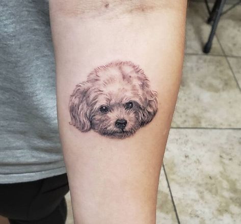 Bishon Dogs Tattoo, Bichon Tattoo Ideas, Bichon Tattoo, Bichon Frise Tattoo, Dog Outline Tattoo, Doodle Tattoos, Dog Ear Tattoo, Cavachon Dog, Small Dog Tattoos