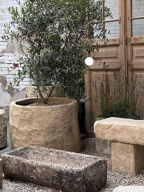 Limestone Planter, Olive Trees Garden, Large Outdoor Planters, Modern Backyard Landscaping, Florida Gardening, Mediterranean Landscaping, Porch Garden, Stone Planters, Modern Backyard