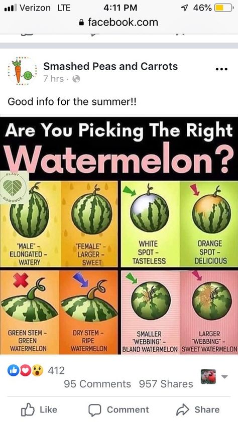 1000 Lifehacks, Watermelon Plant, Sweet Watermelon, Fruit Picking, Food Info, Nutrition Guide, Diet Keto, Food Facts, Fruits And Veggies