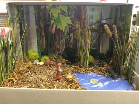 Wetland biome Biome Diorama, Wetland Biome, Beaver Habitat, Ecosystems Diorama, Shoe Box Diorama, Pond Habitat, Rainforest Project, Biomes Project, Diorama Kids