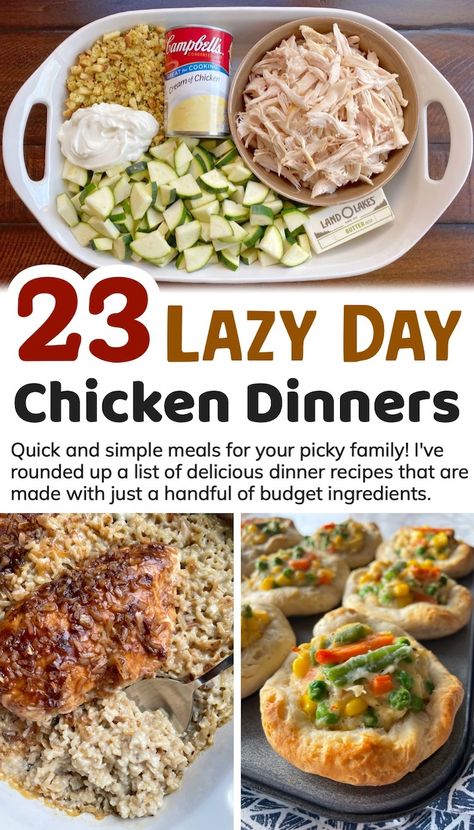 23 Crazy Easy Chicken Dinner Ideas With Few Ingredients Meal Ideas Quick Easy Dinners, Stoveless Meals, Dinner Ideas Quick Healthy, Yummy Easy Chicken Dinner Recipes, Chicken Recipes Cheap, Quick N Easy Dinner Ideas, Easy Dinner Hacks, Easy Recipes For Newlyweds, Lazy Dinner Ideas Quick Healthy