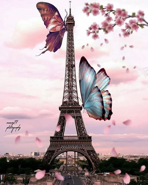 Paris Insight en Instagram: “🦋 Love is like a butterfly. It goes where it pleases and it pleases wherever it goes.…” Love Is Like A Butterfly, Like A Butterfly, Many Thanks, Butterfly Wallpaper, A Butterfly, The Picture, Eiffel Tower, Butterflies, Tower