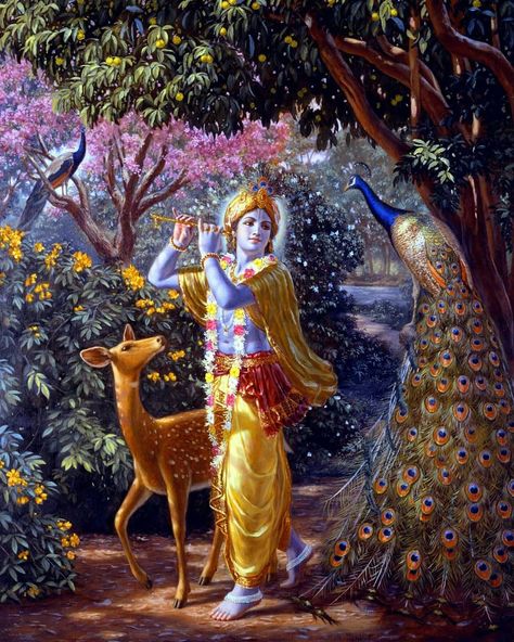 "When all the animals and trees and plants, either on the top of Govardhana Hill or in the valley, see the dancing of the peacocks, they… Wallpaper Radha Krishna, Krishna Avatar, Krishna Flute, Shree Krishna Wallpapers, Lord Krishna Hd Wallpaper, Radha Krishna Wallpaper, Lord Krishna Wallpapers, Krishna Janmashtami, Krishna Radha Painting