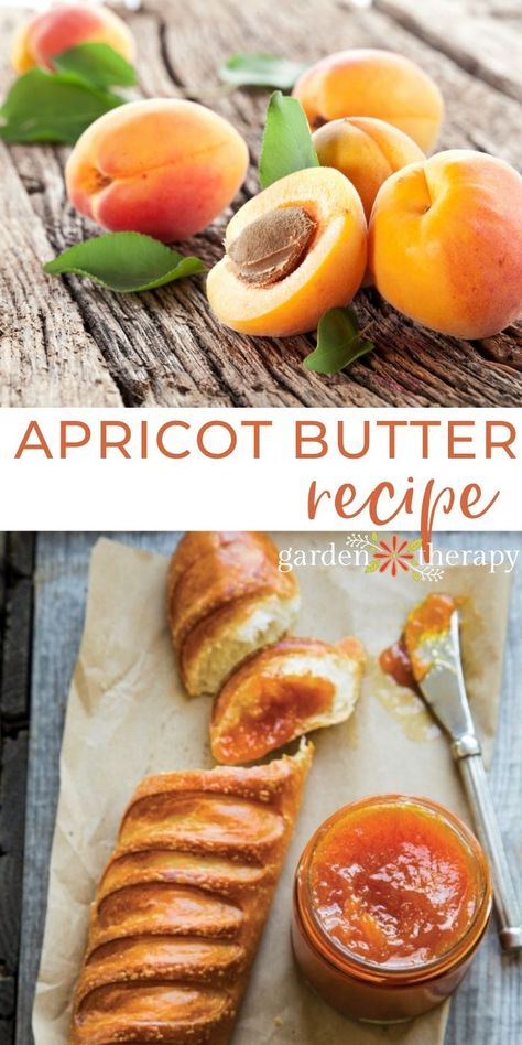 Apricot Butter Recipe, Apricot Jam Recipe, Apricot Butter, Fruit Butter, Apricot Recipes, Cheese And Crackers, Homemade Butter, Easy Treats, Garden Recipes