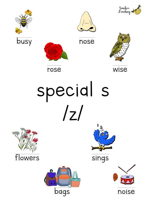 Poster containing images and text for special s /z/ words. English Poems For Kids, Phonics Worksheets Free, Reading Phonics, Kindergarten Phonics Worksheets, Free Posters, Phonics Free, Kindergarten Reading Worksheets, Phonics Books, Phonics Rules