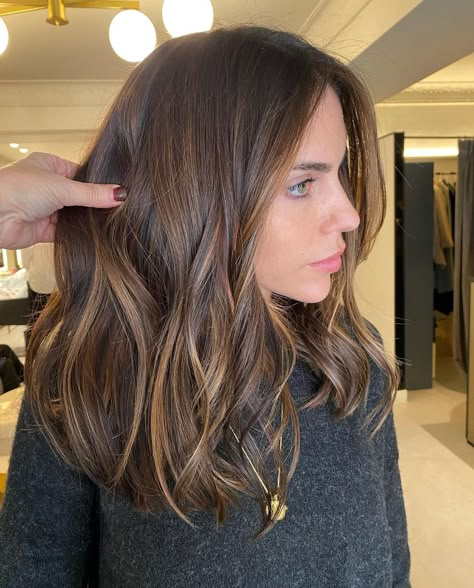 Brown Hair with Delicate Highlights Short Brown Hair Ideas For Summer, Highlights Brown Hair No Bleach, Baby Lights Caramelo, Brown Hair Babylights, Brunette Hair With Babylights, Ideas De Pelo, Lowlights And Highlights, Color Castaño, Brown Hair Inspo