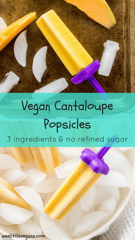 Vegan Cantaloupe Popsicles Cantaloupe Popsicles, Creamy Popsicles, Homemade Popsicles, Frozen Treat, Vegan Lunch, Healthy Families, Delicious Vegan Recipes, Vegan Life, New Flavour